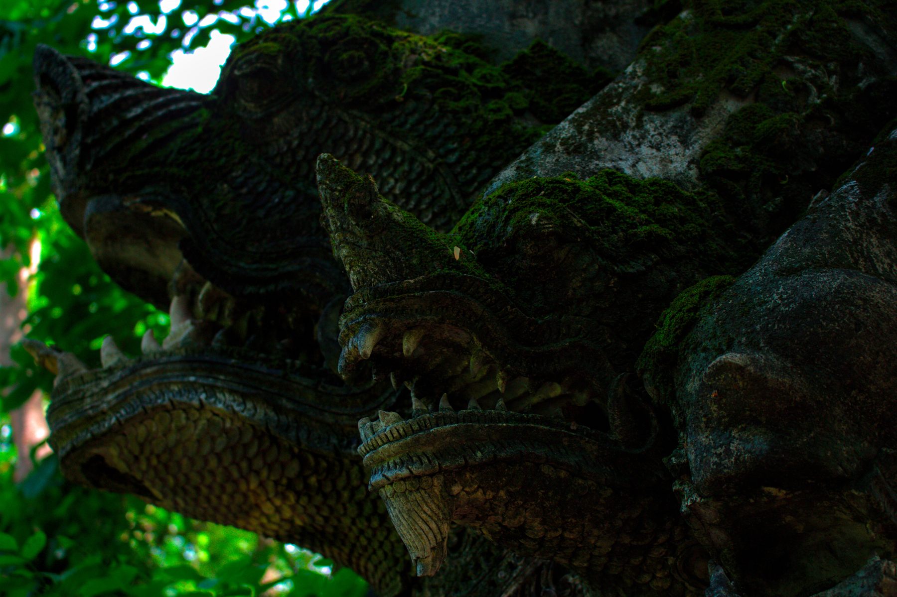 A moss-covered naga statue in the jungle, Wat Pha Lat, Chiang Mai